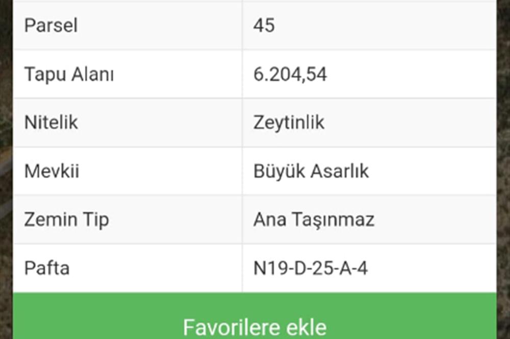 Bodrum Mazı'da yatırım değeri yüksek satılık tarla