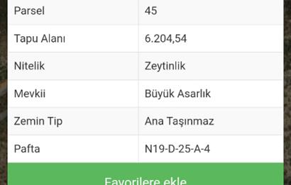 Bodrum Mazı'da yatırım değeri yüksek satılık tarla