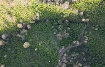 CENTURY21'DEN ORDU MEDRESEÖNÜ FINDIK BAHÇESİ FIRSATI!!