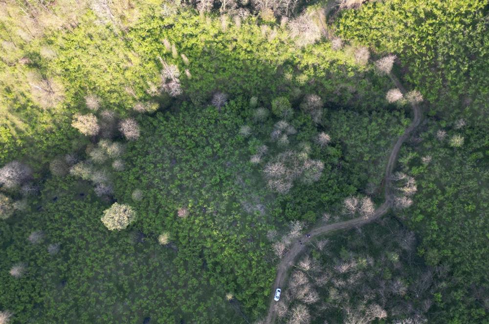 CENTURY21'DEN ORDU MEDRESEÖNÜ FINDIK BAHÇESİ FIRSATI!!