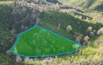 CENTURY21'DEN ORDU MEDRESEÖNÜ FINDIK BAHÇESİ FIRSATI!!