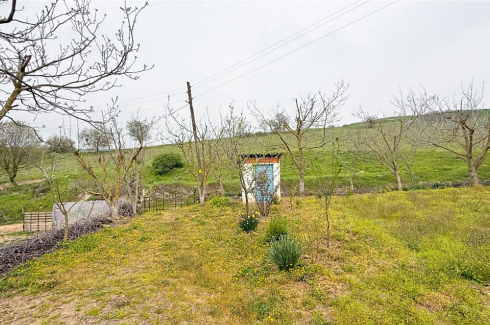 C21BAL'DAN BALIKESİR ÜNİV. YAKIN KOZPINAR MAH. SATILIK KÖY EVİ