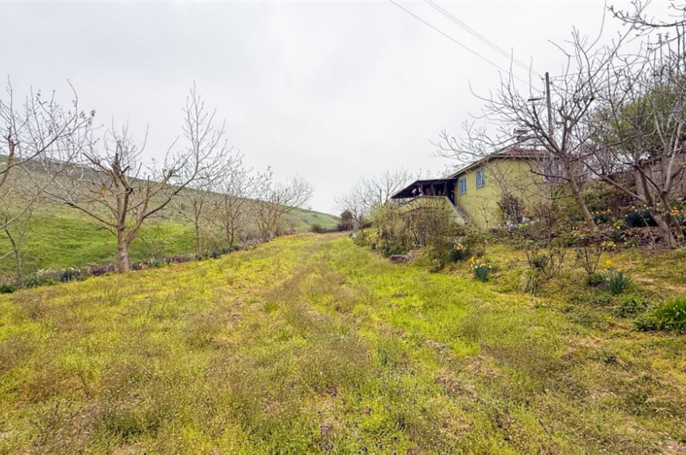 C21BAL'DAN BALIKESİR ÜNİV. YAKIN KOZPINAR MAH. SATILIK KÖY EVİ