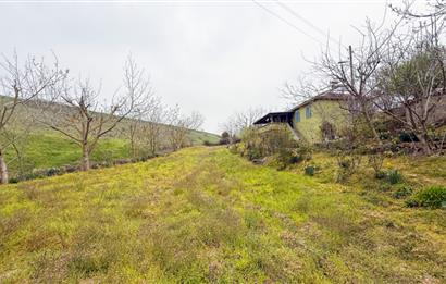 C21BAL'DAN BALIKESİR ÜNİV. YAKIN KOZPINAR MAH. SATILIK KÖY EVİ