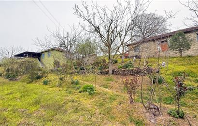 C21BAL'DAN BALIKESİR ÜNİV. YAKIN KOZPINAR MAH. SATILIK KÖY EVİ