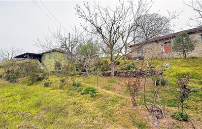 C21BAL'DAN BALIKESİR ÜNİV. YAKIN KOZPINAR MAH. SATILIK KÖY EVİ