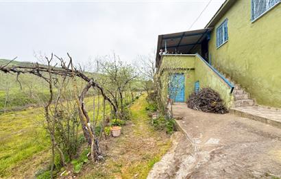 C21BAL'DAN BALIKESİR ÜNİV. YAKIN KOZPINAR MAH. SATILIK KÖY EVİ