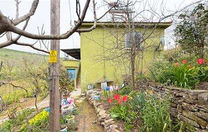 C21BAL'DAN BALIKESİR ÜNİV. YAKIN KOZPINAR MAH. SATILIK KÖY EVİ