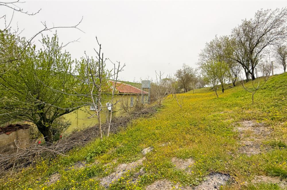 C21BAL'DAN BALIKESİR ÜNİV. YAKIN KOZPINAR MAH. SATILIK KÖY EVİ