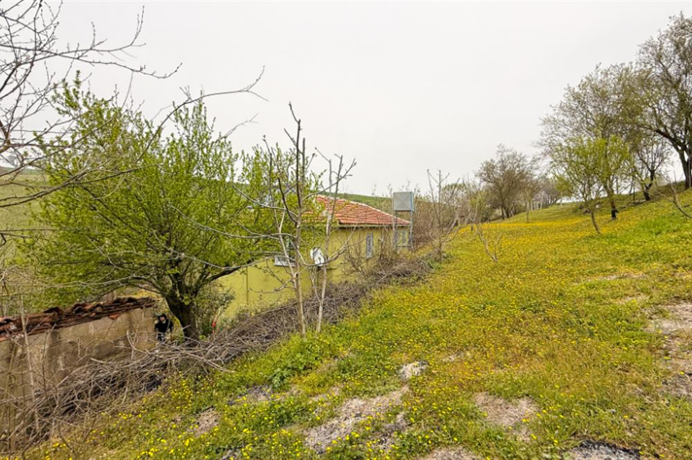 C21BAL'DAN BALIKESİR ÜNİV. YAKIN KOZPINAR MAH. SATILIK KÖY EVİ