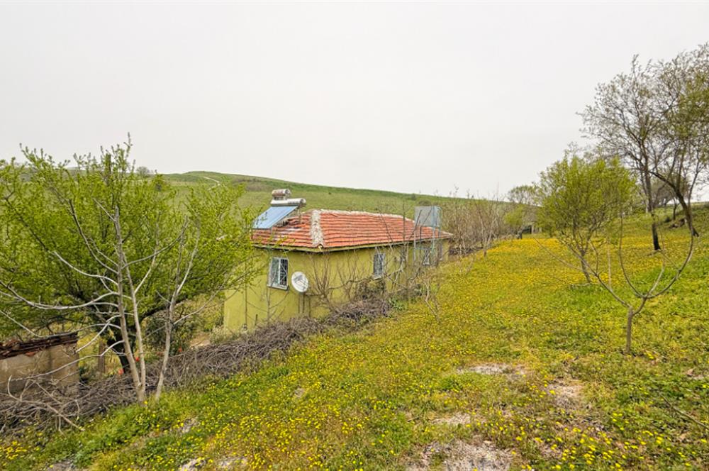 C21BAL'DAN BALIKESİR ÜNİV. YAKIN KOZPINAR MAH. SATILIK KÖY EVİ