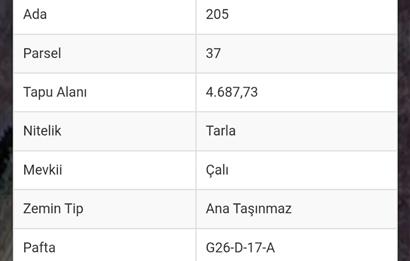 BOLU MUDURNU'DA YATIRIMLIK TARLA