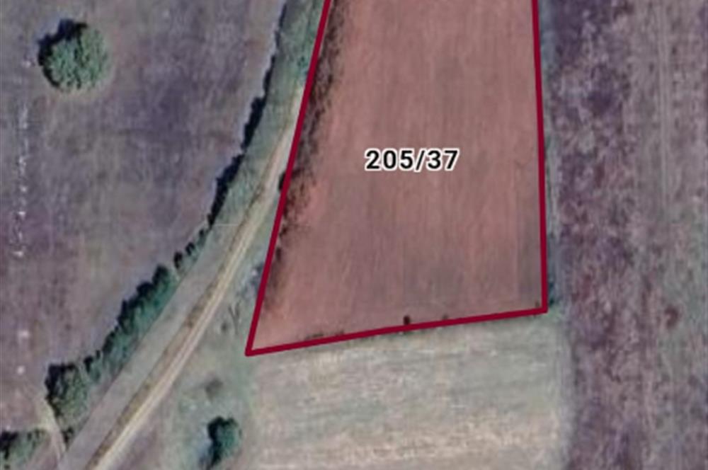 BOLU MUDURNU'DA YATIRIMLIK TARLA