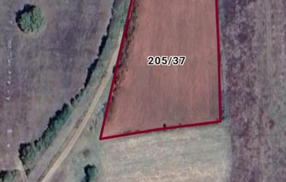 BOLU MUDURNU'DA YATIRIMLIK TARLA