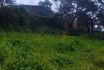 Milas Pınararası Satılık Köy İçi İmarlı Arsa 412m2 - 11 - 33588