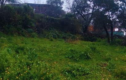 Milas Pınararası Satılık Köy İçi İmarlı Arsa 412m2