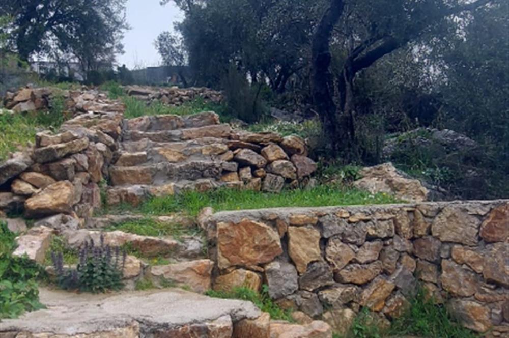 Milas Pınararası Satılık Köy İçi İmarlı Arsa 412m2