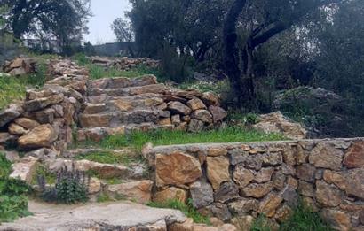 Milas Pınararası Satılık Köy İçi İmarlı Arsa 412m2