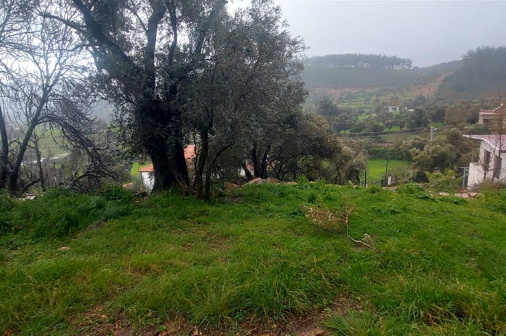 Milas Pınararası Satılık Köy İçi İmarlı Arsa 412m2