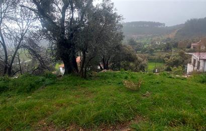 Milas Pınararası Satılık Köy İçi İmarlı Arsa 412m2