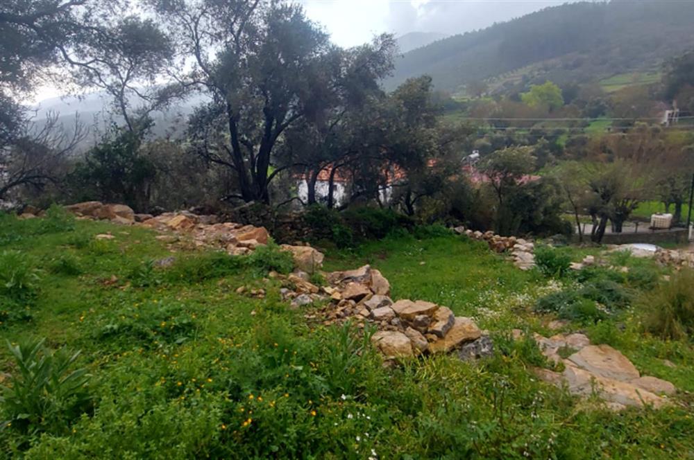 Milas Pınararası Satılık Köy İçi İmarlı Arsa 412m2