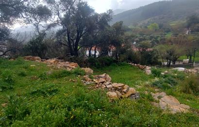 Milas Pınararası Satılık Köy İçi İmarlı Arsa 412m2