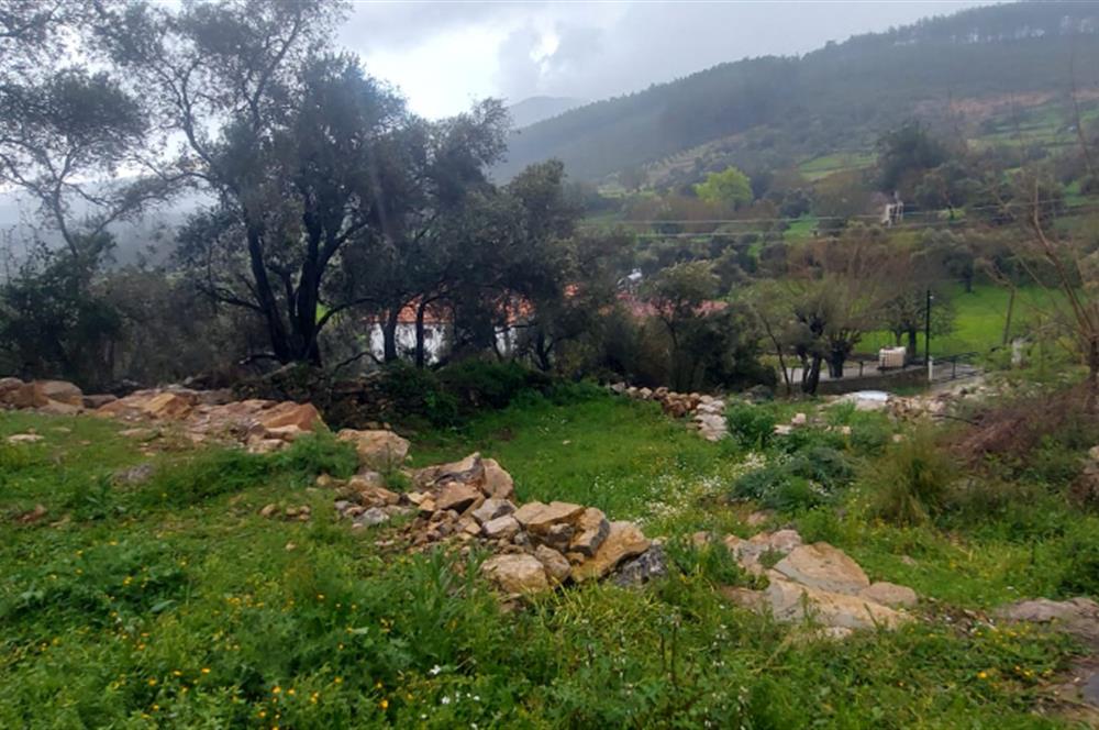 Milas Pınararası Satılık Köy İçi İmarlı Arsa 412m2