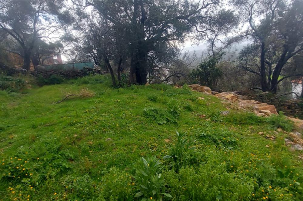 Milas Pınararası Satılık Köy İçi İmarlı Arsa 412m2