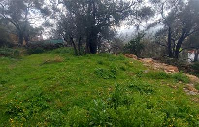 Milas Pınararası Satılık Köy İçi İmarlı Arsa 412m2