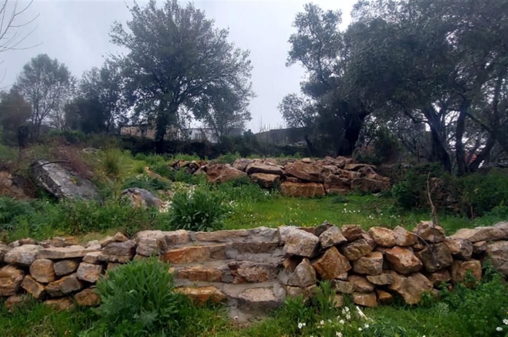 Milas Pınararası Satılık Köy İçi İmarlı Arsa 412m2