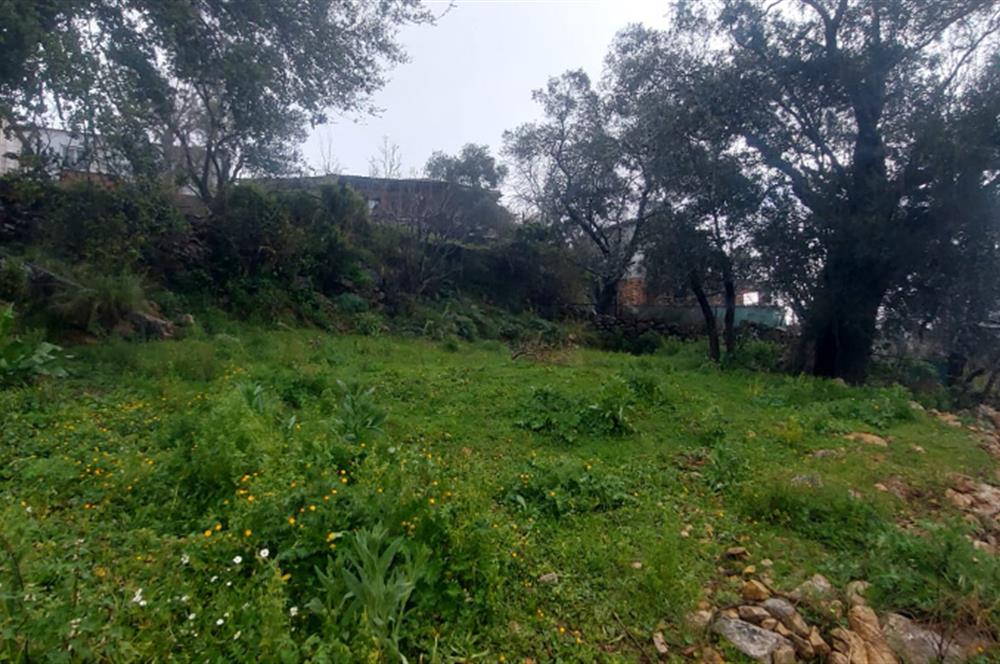 Milas Pınararası Satılık Köy İçi İmarlı Arsa 412m2