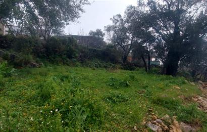 Milas Pınararası Satılık Köy İçi İmarlı Arsa 412m2