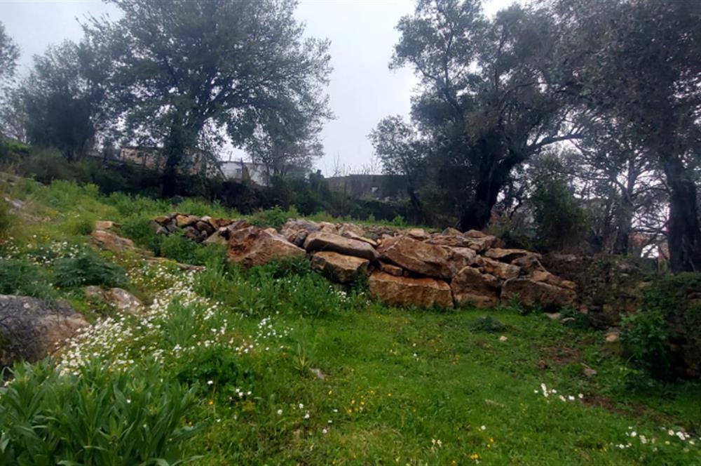 Milas Pınararası Satılık Köy İçi İmarlı Arsa 412m2