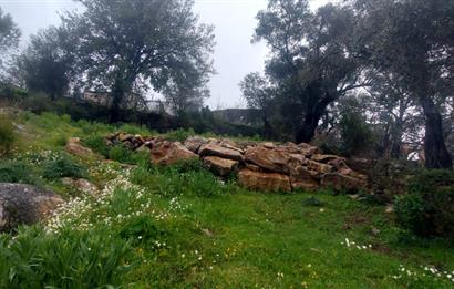 Milas Pınararası Satılık Köy İçi İmarlı Arsa 412m2