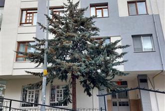 CEVİZLİDERE CADDESİ PARALELİ BAKIMLI KİRALIK DAİRE - 4 - 33608