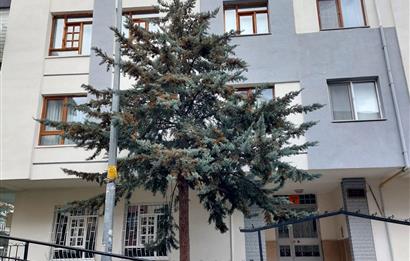 CEVİZLİDERE CADDESİ PARALELİ BAKIMLI KİRALIK DAİRE