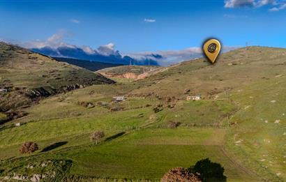 C21 LOCA' DAN ALTIEYLÜL KÖYLÜ MAHALLESİNDE 3600M2 SATILIK TARLA