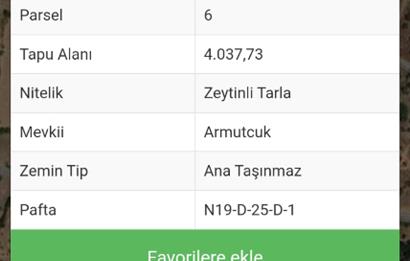 Bodrum Mazı'da yatırım değeri yüksek satılık tarla