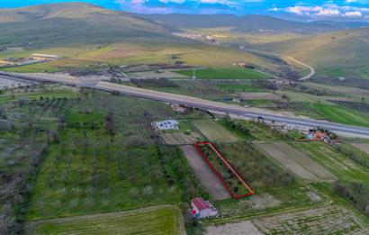 C21 LOCA' DAN ALTIEYLÜL KÖYLÜ MAHALLESİNDE 700M2 SATILIK BAĞ