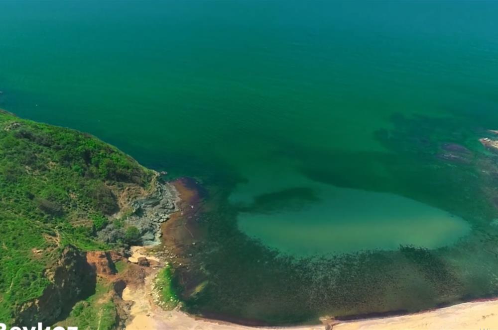 BEYKOZ ANADOLU FENERİ’NDE YATIRIMLIK 1.599 m² HİSSE