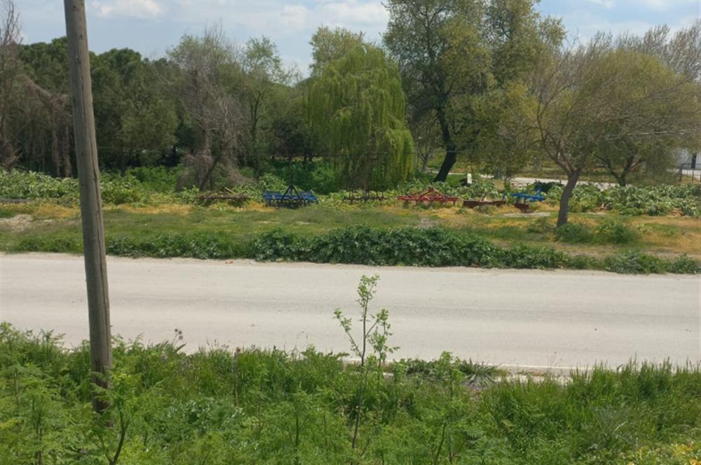 C.21 LOCA ALTIEYLÜL PAŞAKÖY MAH.SATILIK 4664 M2 FIRSAT ARSA