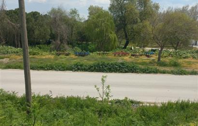 C.21 LOCA ALTIEYLÜL PAŞAKÖY MAH.SATILIK 4664 M2 FIRSAT ARSA