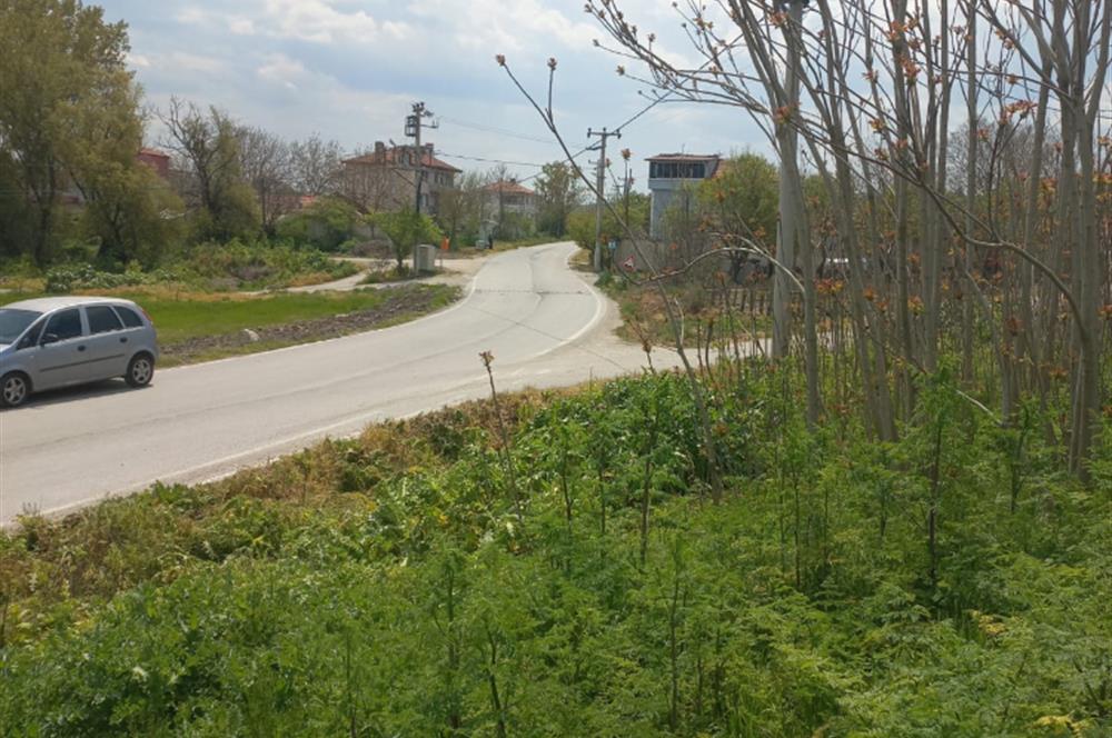 C.21 LOCA ALTIEYLÜL PAŞAKÖY MAH.SATILIK 4664 M2 FIRSAT ARSA