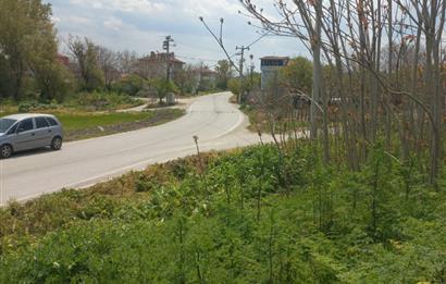 C.21 LOCA ALTIEYLÜL PAŞAKÖY MAH.SATILIK 4664 M2 FIRSAT ARSA