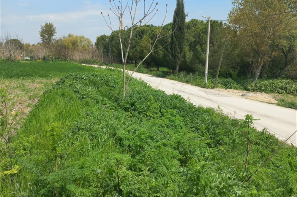 C.21 LOCA ALTIEYLÜL PAŞAKÖY MAH.SATILIK 4664 M2 FIRSAT ARSA