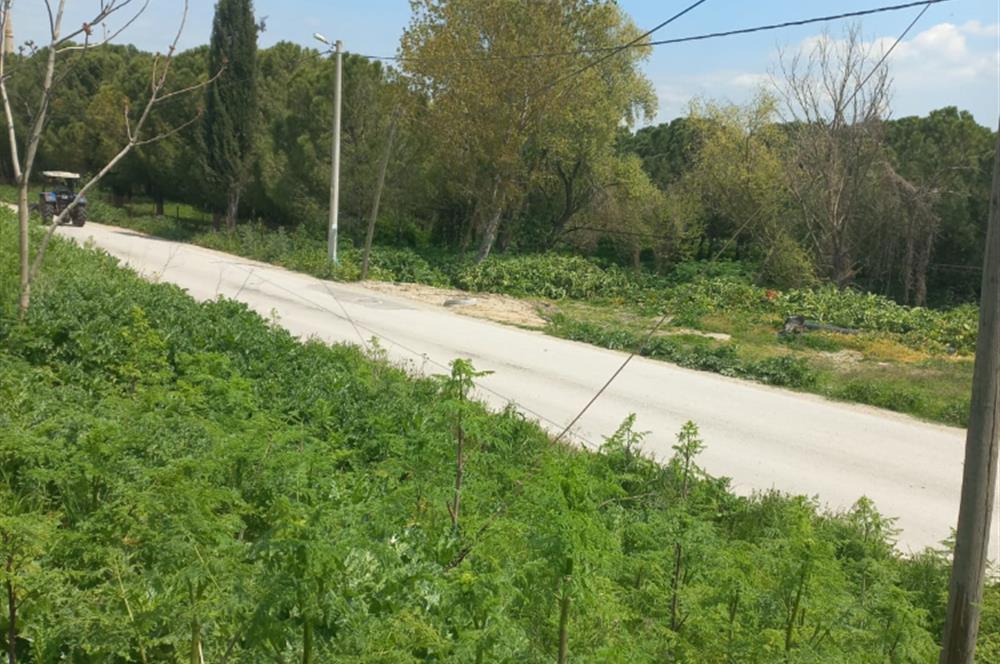 C.21 LOCA ALTIEYLÜL PAŞAKÖY MAH.SATILIK 4664 M2 FIRSAT ARSA