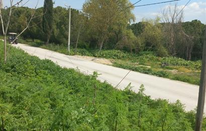 C.21 LOCA ALTIEYLÜL PAŞAKÖY MAH.SATILIK 4664 M2 FIRSAT ARSA