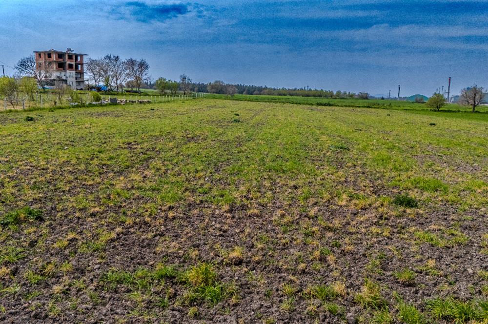 C.21 LOCA ALTIEYLÜL PAŞAKÖY MAH.SATILIK 4664 M2 FIRSAT ARSA