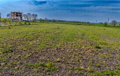 C.21 LOCA ALTIEYLÜL PAŞAKÖY MAH.SATILIK 4664 M2 FIRSAT ARSA