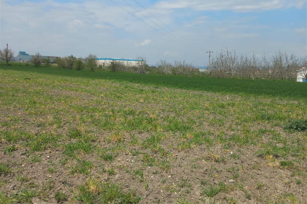 C.21 LOCA ALTIEYLÜL PAŞAKÖY MAH.SATILIK 4664 M2 FIRSAT ARSA